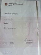 Сертификат. TKT: Young learners