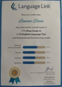 С1 English Language test (CAE)