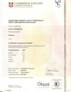Сертификат CAE - уровень владения языком C1-C2 (близко к носителю)