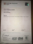 CELTA certificate (международный сертификат преподавателя, дает право обучать заграницей)