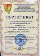 Сертификат научно-исследовательской конференции