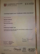 Сертификат. PET (Preliminary English Test) - Pass with Distinction, B2 level, 2014 г.