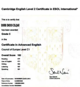 Cambridge English level 2 certificate