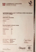 Кембриджский сертификат ESOL, уровень 1, подтверждающий владение деловым английским, 2016 г.