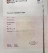 Международный педагогический сертификат Teaching Knowledge Test Модуль 3