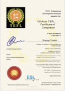 TEFL Certificate