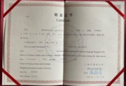 Сертификат об окончании полугодового обучения в шанхайском университете SISU