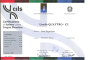 Сертификат CILS, C2
