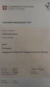 Сертификат подтверждающий право на преподавание английского языка
