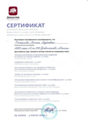 Сертификат фонда "Династия"