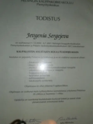 Сертификат Высшей Школы Торговли (маркетолог) г.Хельсинки