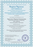 Сертификат Академии педагогики
