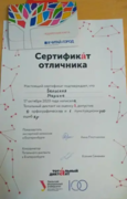 Сертификат отличника Тотального диктанта
