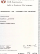 Cambridge ESOL Level 2 Certificate in ESOL International