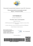 Сертификат участника конференции МГУ