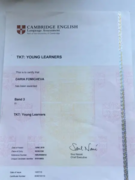 Кембриджский сертификат по методике преподавания для детей