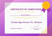 Cambridge Exams YL