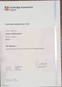 TKT Module 2 Certificate