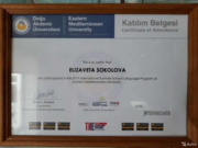 Сертификат об уровне владения языком