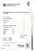 Сертификат САЕ по английскому языку (уровень С1 - Advanced)