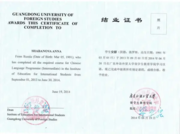 Сертификат о прохождении стажировки в Китае (2013-2014 гг.)