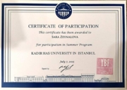 Summer program in Istanbul