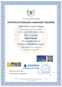 Сертификат преподавателя английского языка TEFL/TESOL