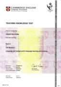 Кембриджский международный сертификат ТКТ 1