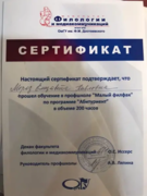 сертификат о прохождении подготовки к сдаче ОГЭ и ЕГЭ