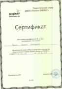 Сертификат о прохождении школы вожатского мастерства