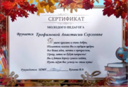 Сертификат молодого специалиста