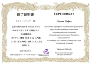 Сертификат о прохождении курса по методике преподавания японского языка