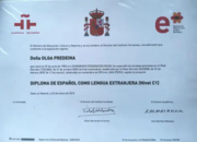 Международный сертификат DELE уровень C1