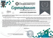 Сертификат по профессиональной переподготовке