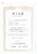 Сертификат полноценного окончания курса японского с 2018 до 2019