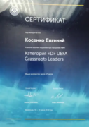 Категория "D" UEFA Grassroots Leaders