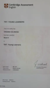 TKT: YOUNG LEARNERS