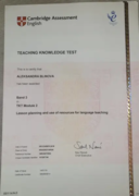 Кембриджский сертификат TKT Module2