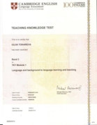 Сертификат TKT module 1 (общие знания о языковых системах, задачах преподавателя, методиках и видах деятельности)