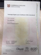 Кембриджский сертификат CPE, уровень - profficiency