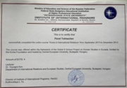 Сертификат об изучении курса «Корея в международных отношениях» на английском языке, Центральный Европейский Университет (Будапешт, Венгрия)