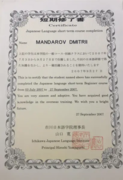 Сертификат о прохождении практики 2007г.