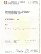 CELTA certificate (Кембриджский сертификат о преподавании английского языка)
