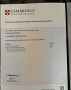 Кэмбриджский сертификат уровня C1