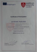 Сертификат участия в международной конференции в Университете Мидделсекс, г.Лондон