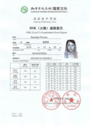 Международный экзамен по китайскому языку HSK (5 уровень Upper-Intermediate)
