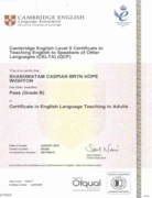 Сертификат CELTA (2017)