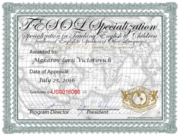 Сертификат TESOL 2016