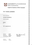 Сертификат ТКТ Module Young Learners Сambridge