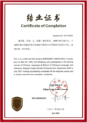 Cetificate of Completion (сертификат о завершении обучения в BFSU)